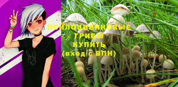 PSILOCYBIN Абаза