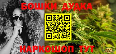 мдпв Гусь-Хрустальный