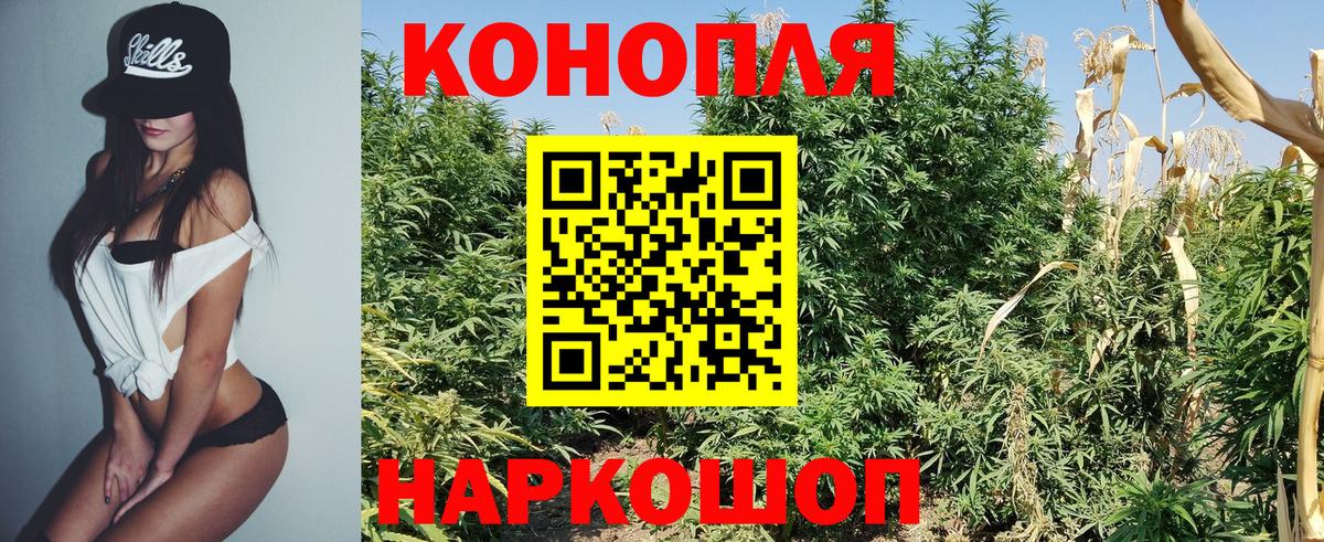 Бошки марихуана Amnesia Омск